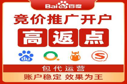 企业SEM服务实战案例解析